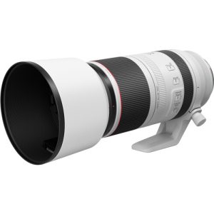Buy CANON RF 100-500MM F/4.5-7.1 L IS USM Lens online