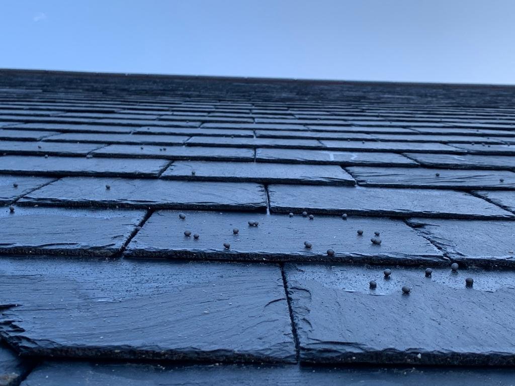 Experienced & Established Local Roofing Services in Walkington