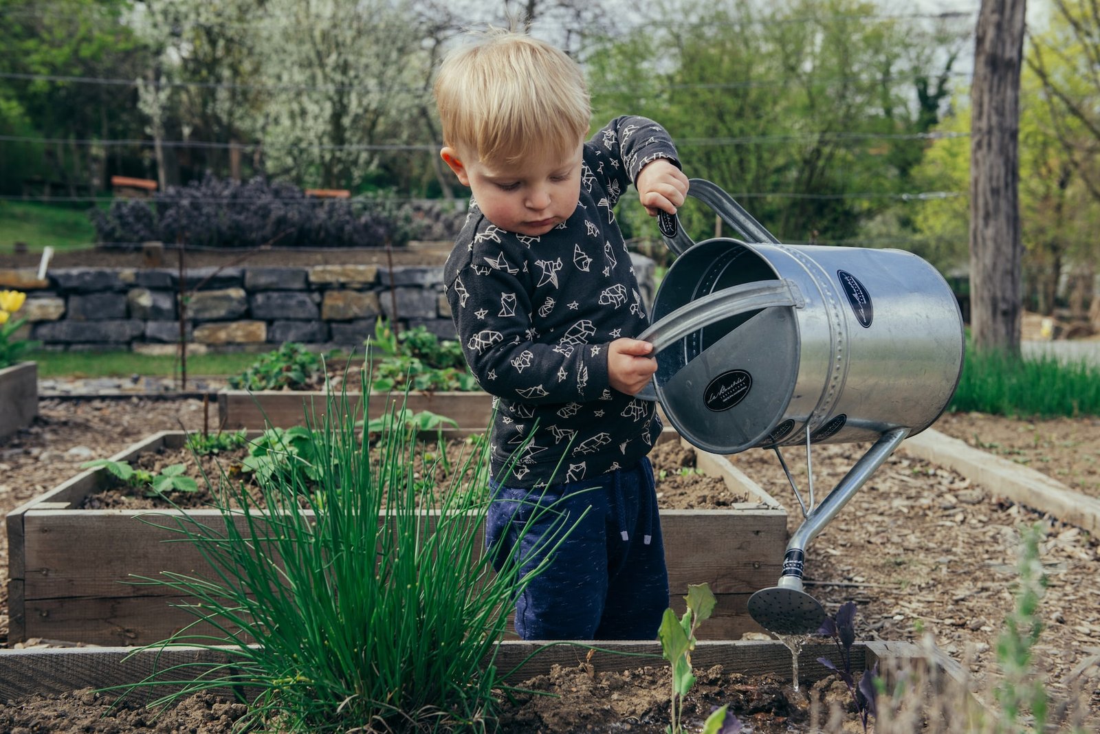 Get A Quote On Your Dundee Needs From Gardening Services