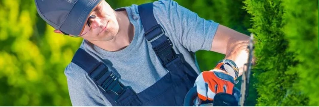 Most Trusted Gardeners in Oxford | Lawn Care, Landscaping & Many More