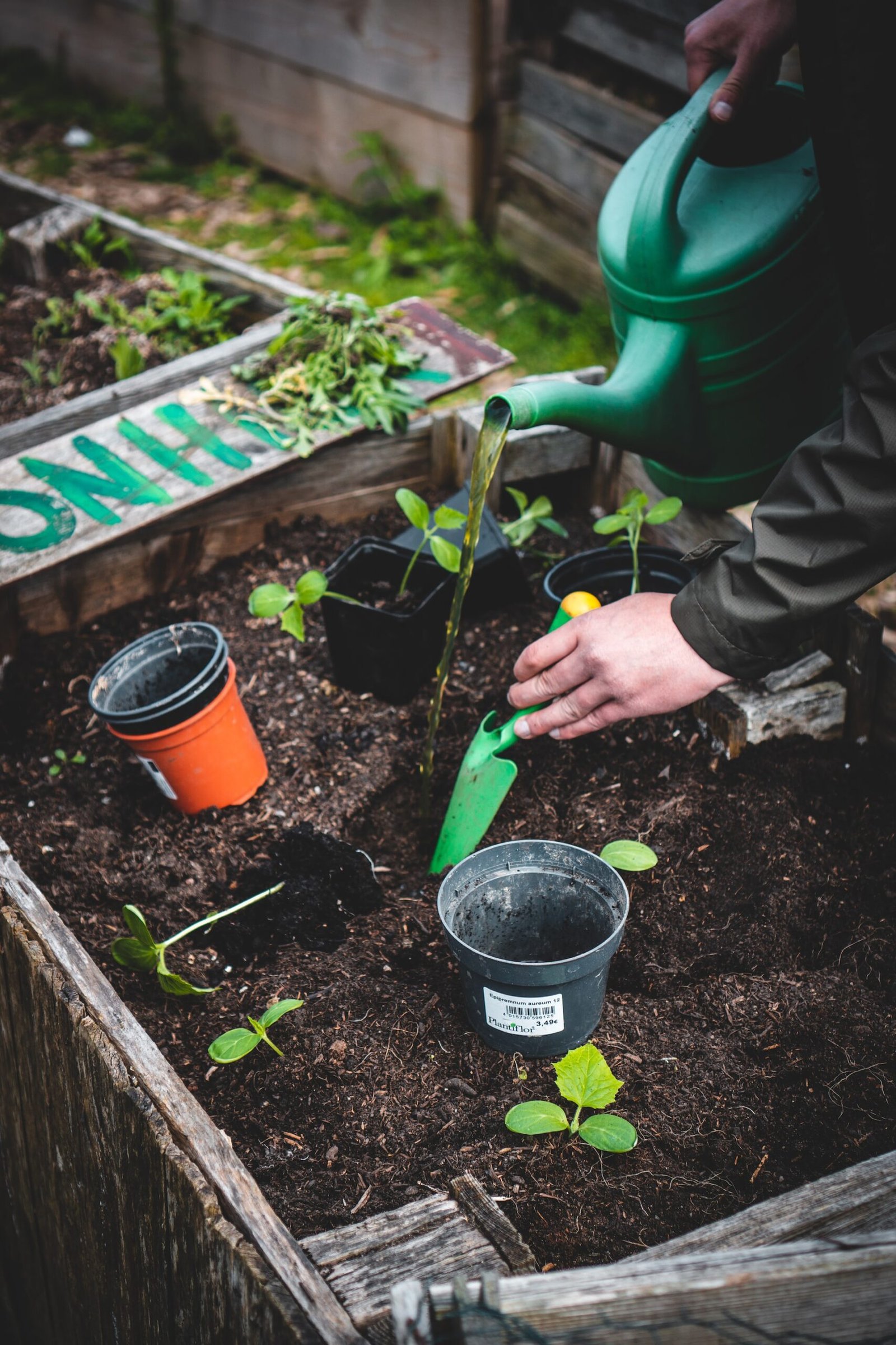 Get A Quote On Your Dundee Needs From Gardening Services