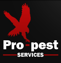 Emergency Pest Control Service in London At Domestic & Commercial Places