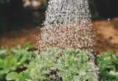 Get A Quote On Your Dundee Needs From Gardening Services