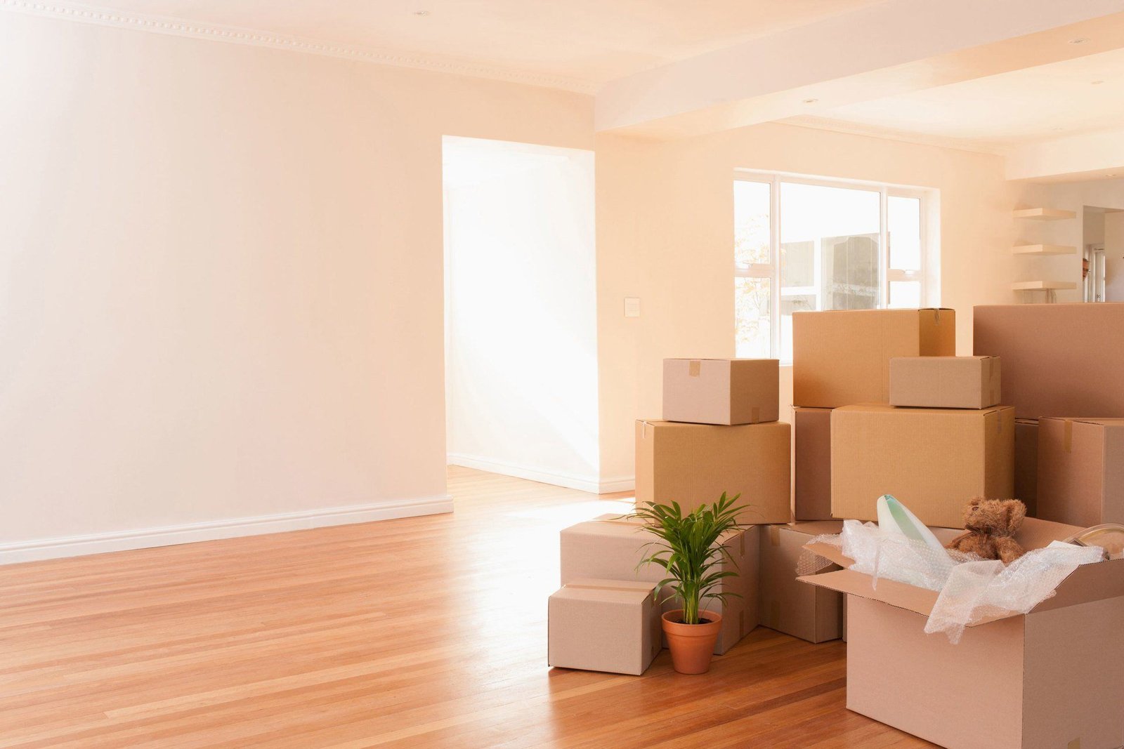 Professional Removals And Storage Service in Rotherham