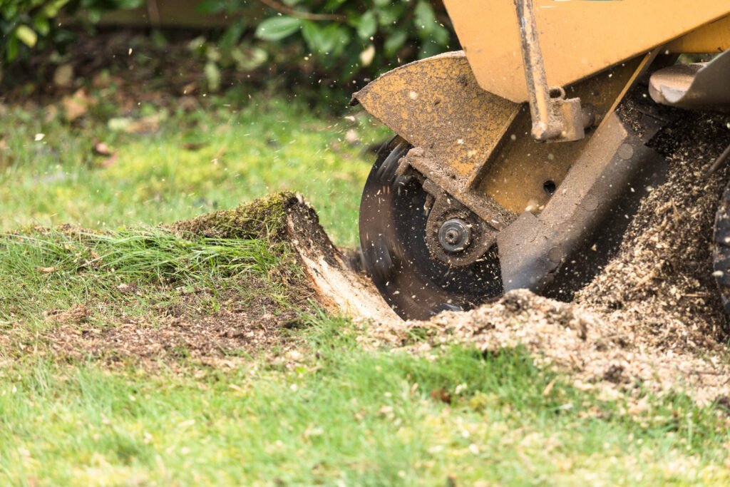 Professional hedge trimming services in Derby