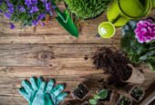 Best Handy Garden Tools And Equipment For Sale in UK