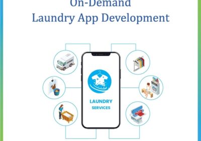 On-demand-laundry-app-development___