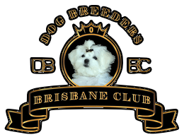 How to become a Dog Breeder QLD