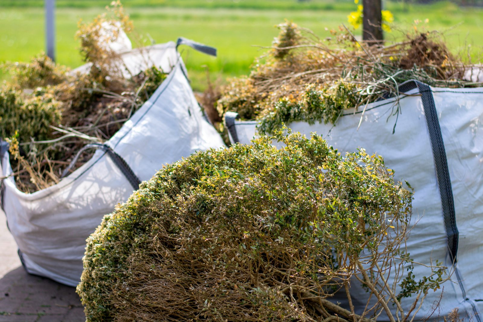Household Rubbish Removal Service in Lothian