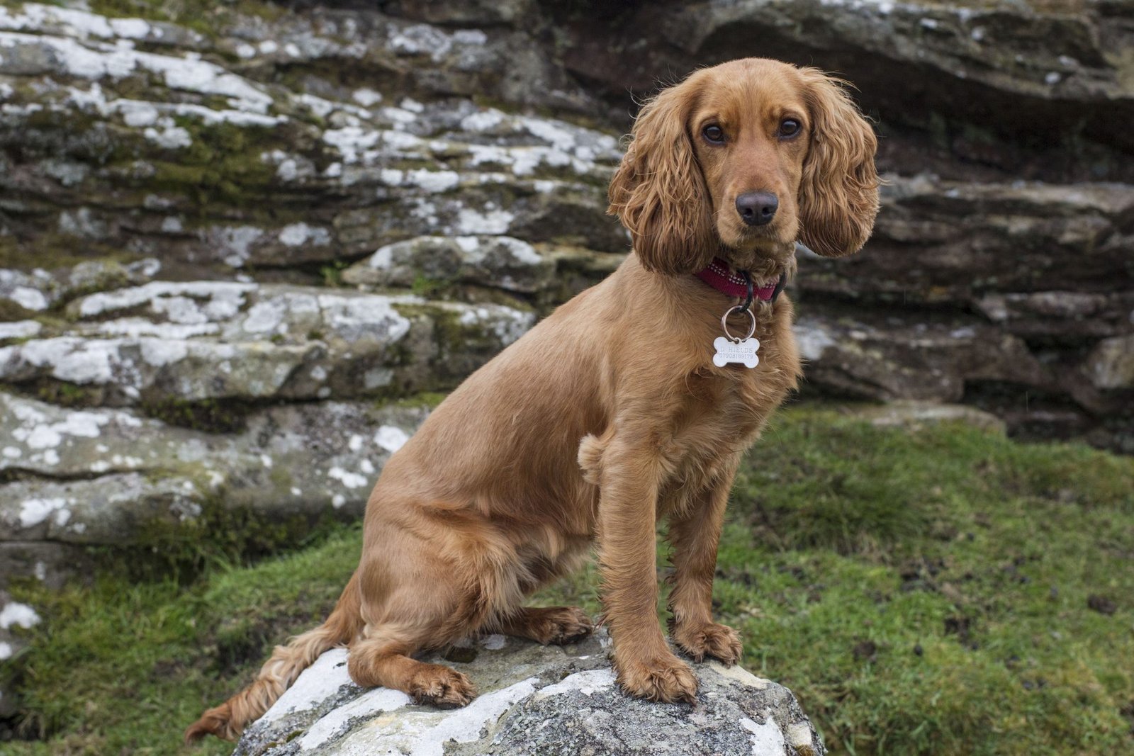 Dog Friendly Hotels in Yorkshire Dales – Tan Hill Inn
