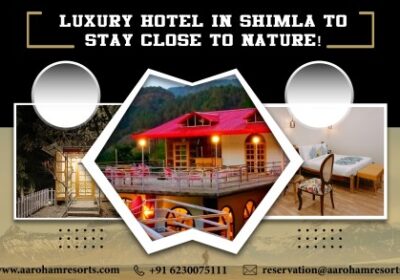 Luxury Hotel in Shimla to Stay Close to Nature!