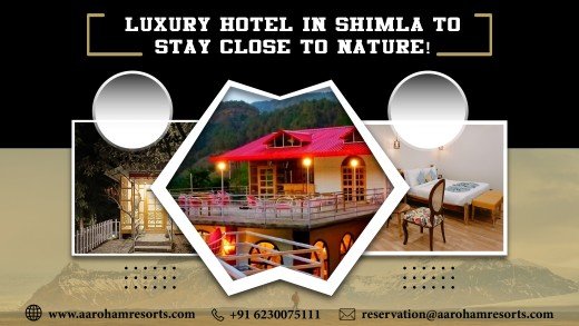 Luxury Hotel in Shimla to Stay Close to Nature!