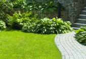 Commercial Gardener in Weston Super Mare