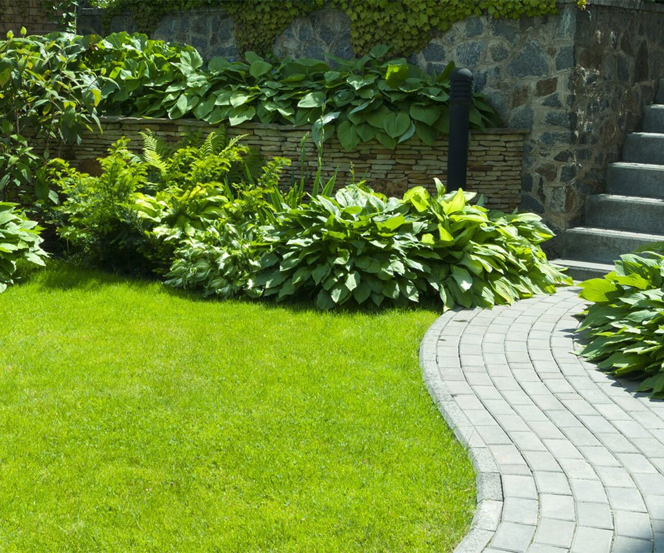 Commercial Gardener in Weston Super Mare