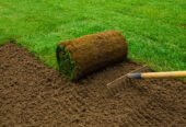Commercial Gardener in Weston Super Mare