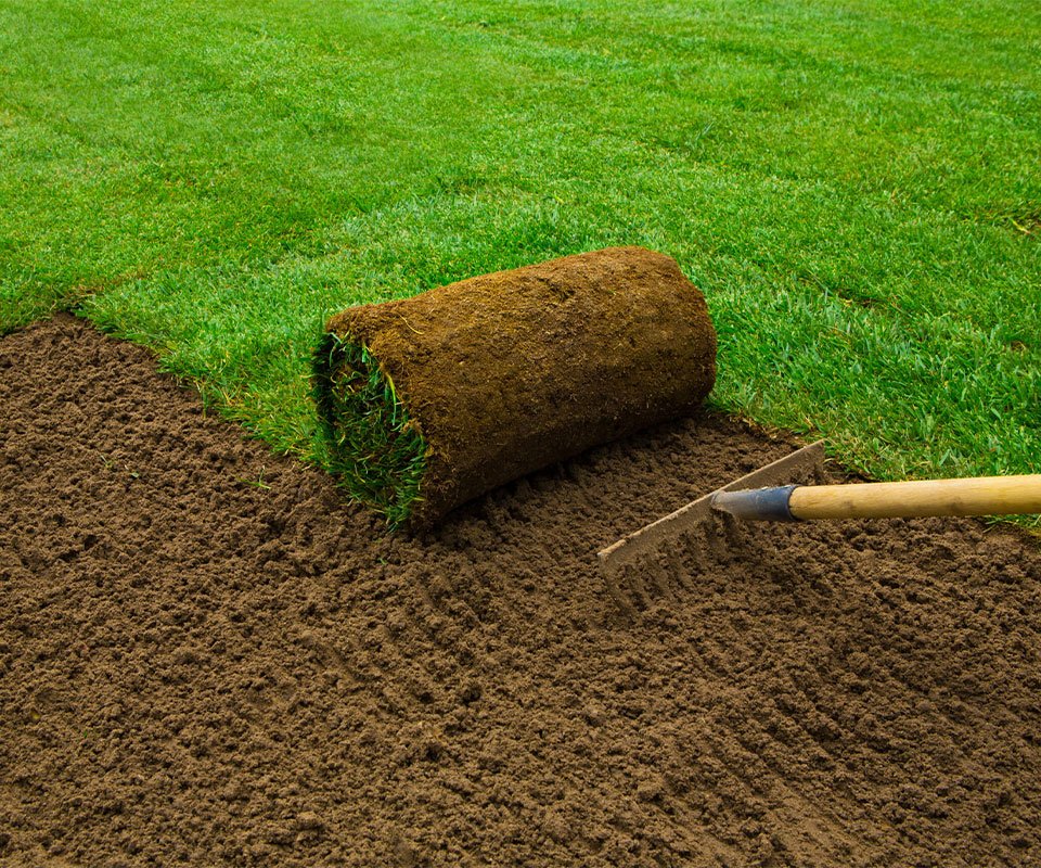 Commercial Gardener in Weston Super Mare