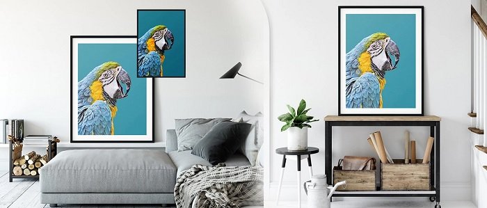 Parrot Print, Bird Wall Art Home Decor – Art Print Studio