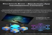 Hire a Blocktech Brew- Blockchain Development Company for your business
