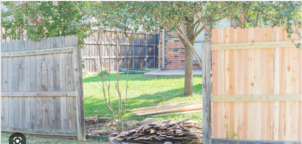 Secure your garden with M.D. Gardens’ fencing solutions