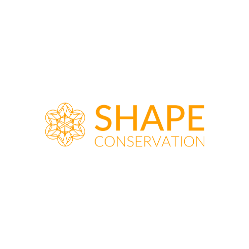 Transform Your Building’s Look with Lime Rendering from Shape Conservation in Yorkshire