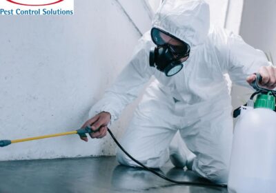 Reliable Commercial Pest Control Services in Cumbria