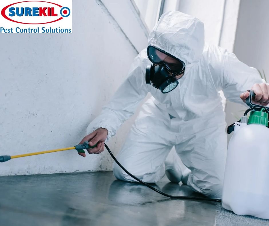 Reliable Commercial Pest Control Services in Cumbria