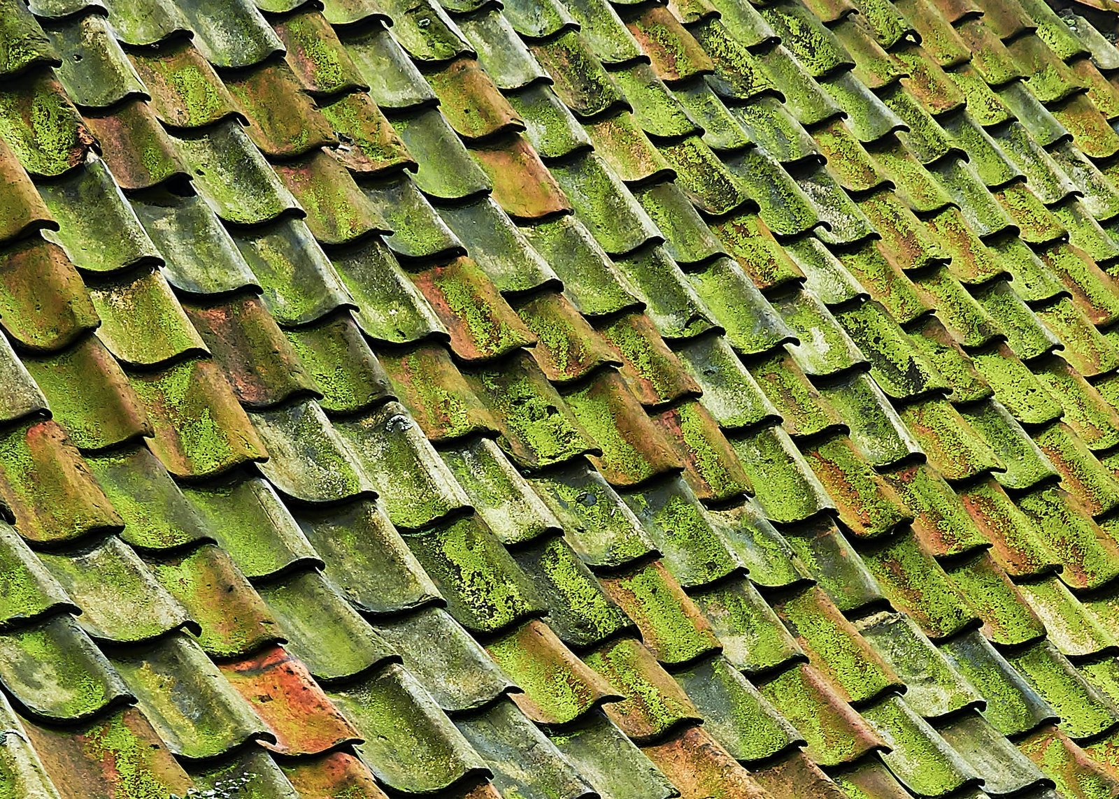 Trust the Experts at D Saunders Roofing for Swansea Roofing and Building Needs