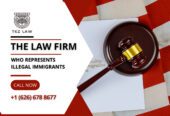 The-Law-Firm