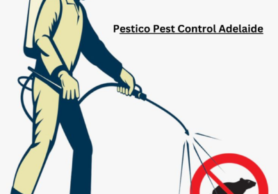 Pestico-Pest-Control-Adelaide