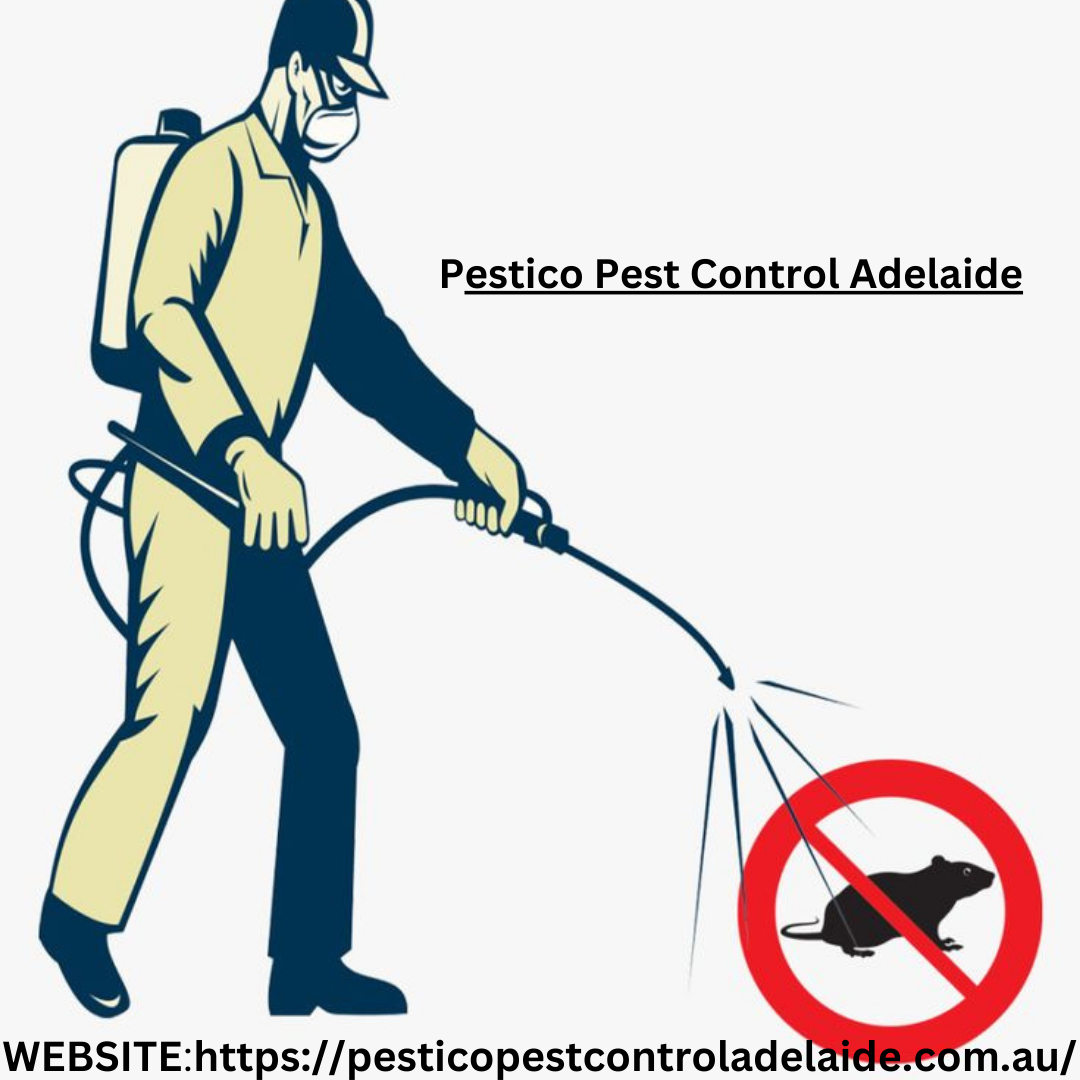 Possum Removal Aberfoyle Park