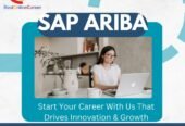 With Best Online Career, you can learn SAP Ariba online