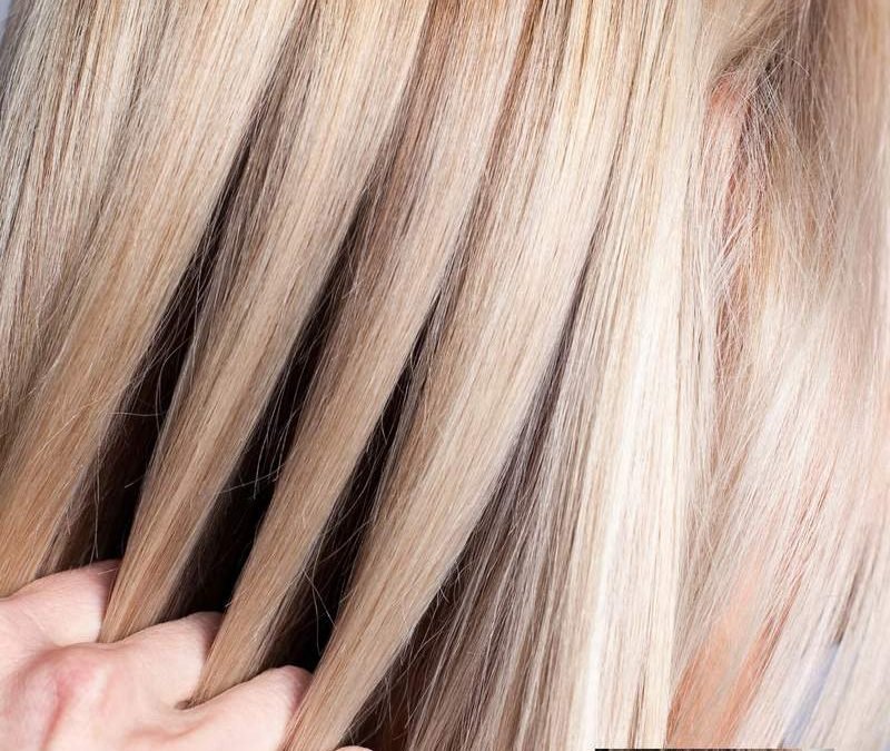 Transform Your Look at Flitwick’s Premier Hair Salon