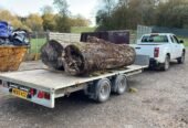 Quality Timber Merchants in Hampshire