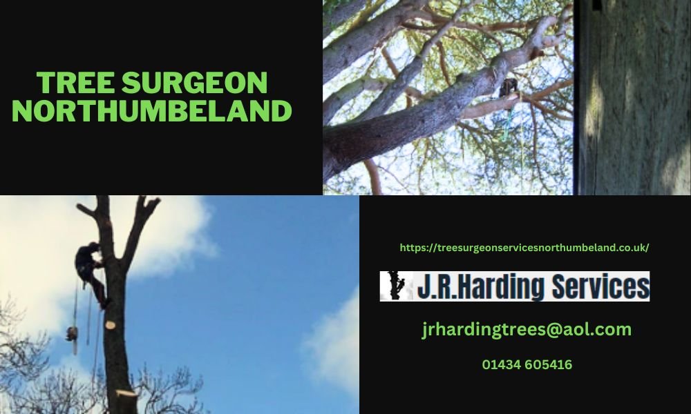 Expert Tree Surgeon Services in Northumberland – J.R. Harding Services