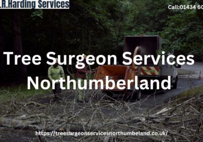 Tree-Surgeon-Services-Northumberland.blog-image