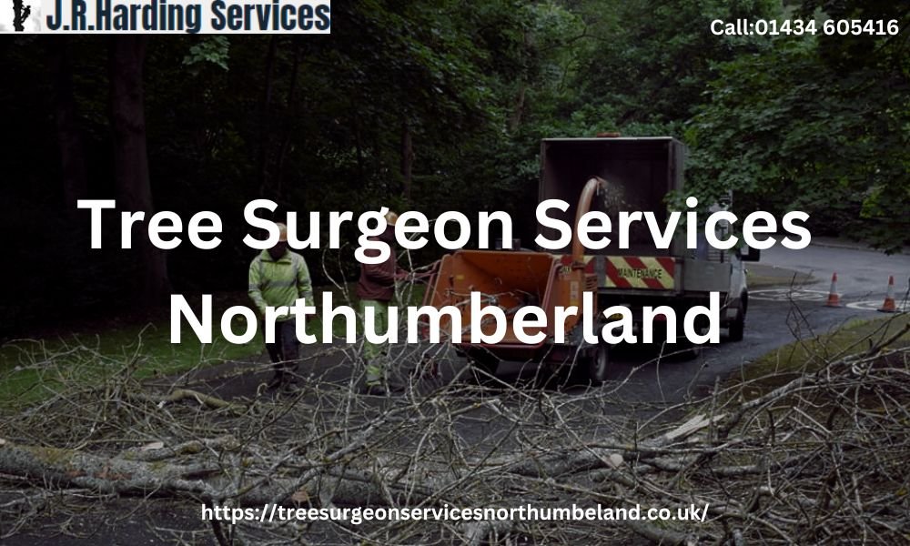 J.R. Harding Services – Expert Tree Surgeon Services in Northumberland