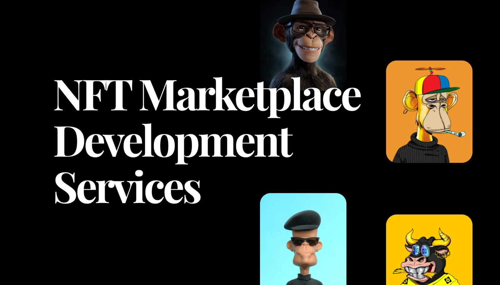 Unlocking Digital Asset Potential: NFT Marketplace Development Services