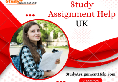 Professional Study Assignment Help UK by Experts