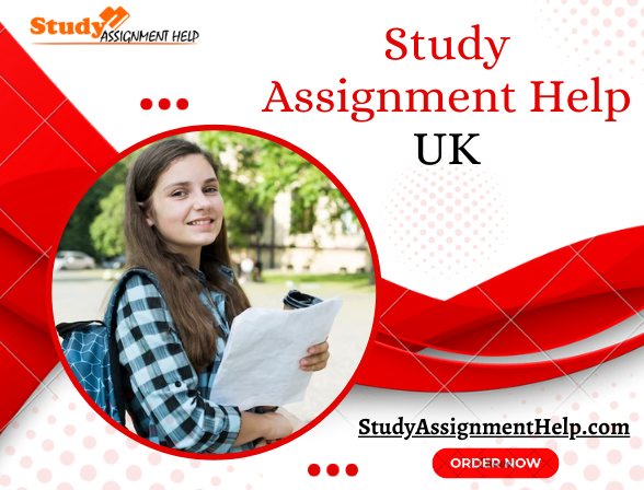 Professional Study Assignment Help UK by Experts