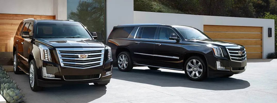Jazzy Transportation