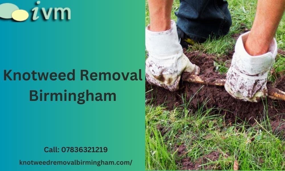 Win the Battle Against Knotweed: Invasive Vegetation Management at Your Service!