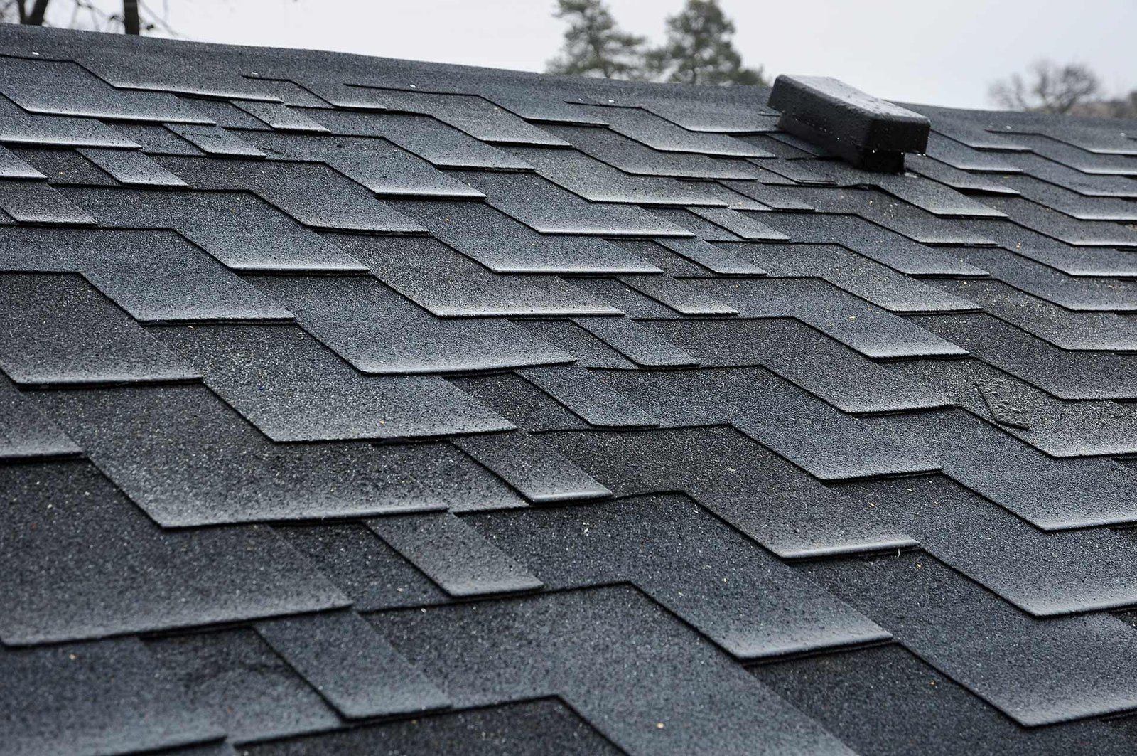 Shingle Roof services in Geneva FL