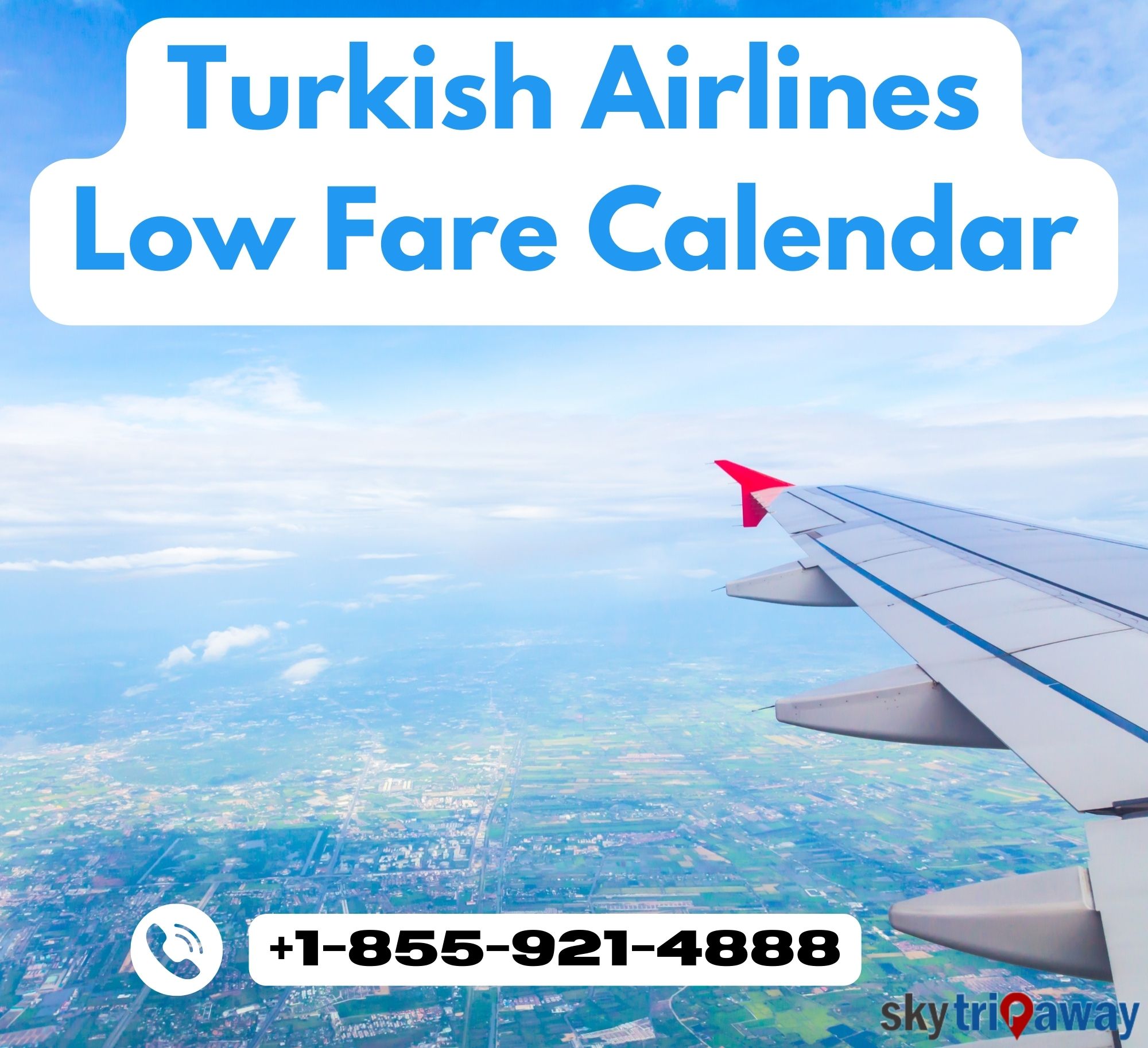 Book Affordable Flight With Turkish Airlines Low Fare Calendar Tegara