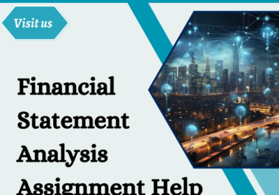 Financial Statement Analysis Assignment Help top rated assignment help