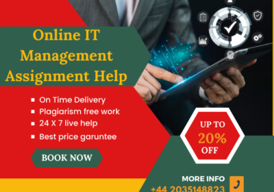 Online-IT-Management-Assignment-Help-2
