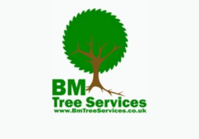 🌳 BM Tree Services – Your Trusted Choice for Tree Surgery in Glasgow! 🌳