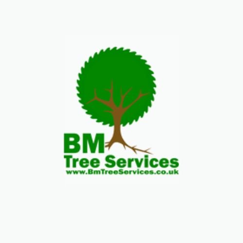 🌳 BM Tree Services – Your Glasgow Tree Surgery Experts! 🌳
