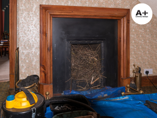 Trustworthy A Plus Chimney Sweeps for Chimney Sweeping Bristol