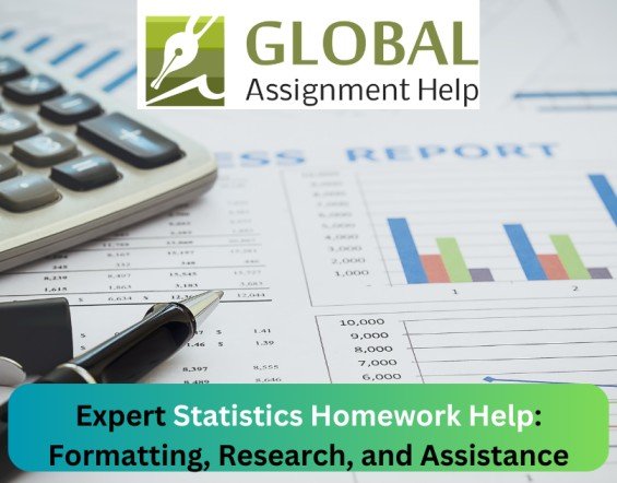 Proficient Statistics Homework Support: Formatting, Research, and Aid