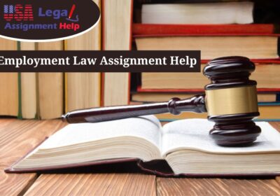 Employment Law Assignment Help for Higher Grades